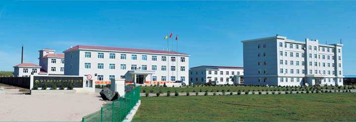 �������I(y��)ϴ�C�h�N��(n��i)�ɹ�ꐰ͠�